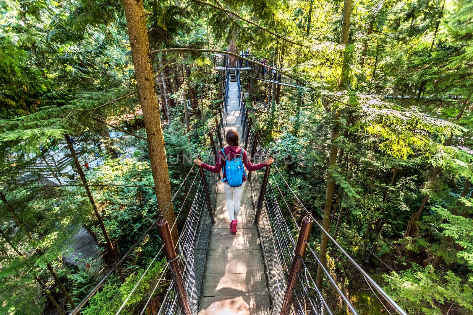 Canada travel tourist woman walking in famous attraction Capilano Suspension Bridge in North Vancouver, British Columbia, canadian vacation destination for tourism by Maridav
