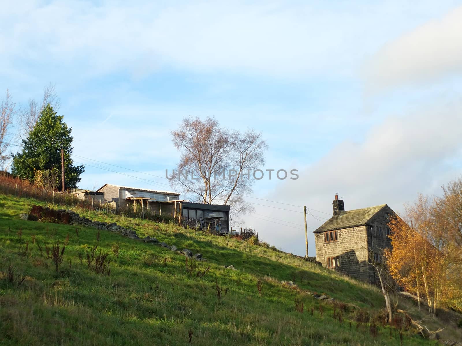 An old stone farmhouse and sheds at the top of a green hillside meadow with trees and stone walls in west yorkshire calderdale countryside