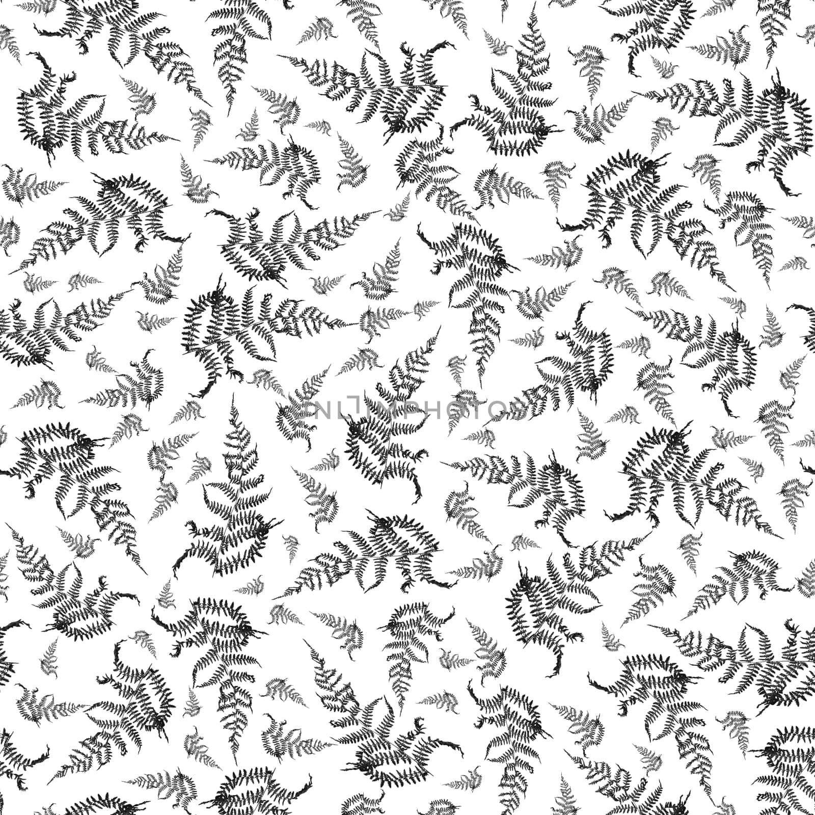 ornate seamless black and white modern repeating fern background design