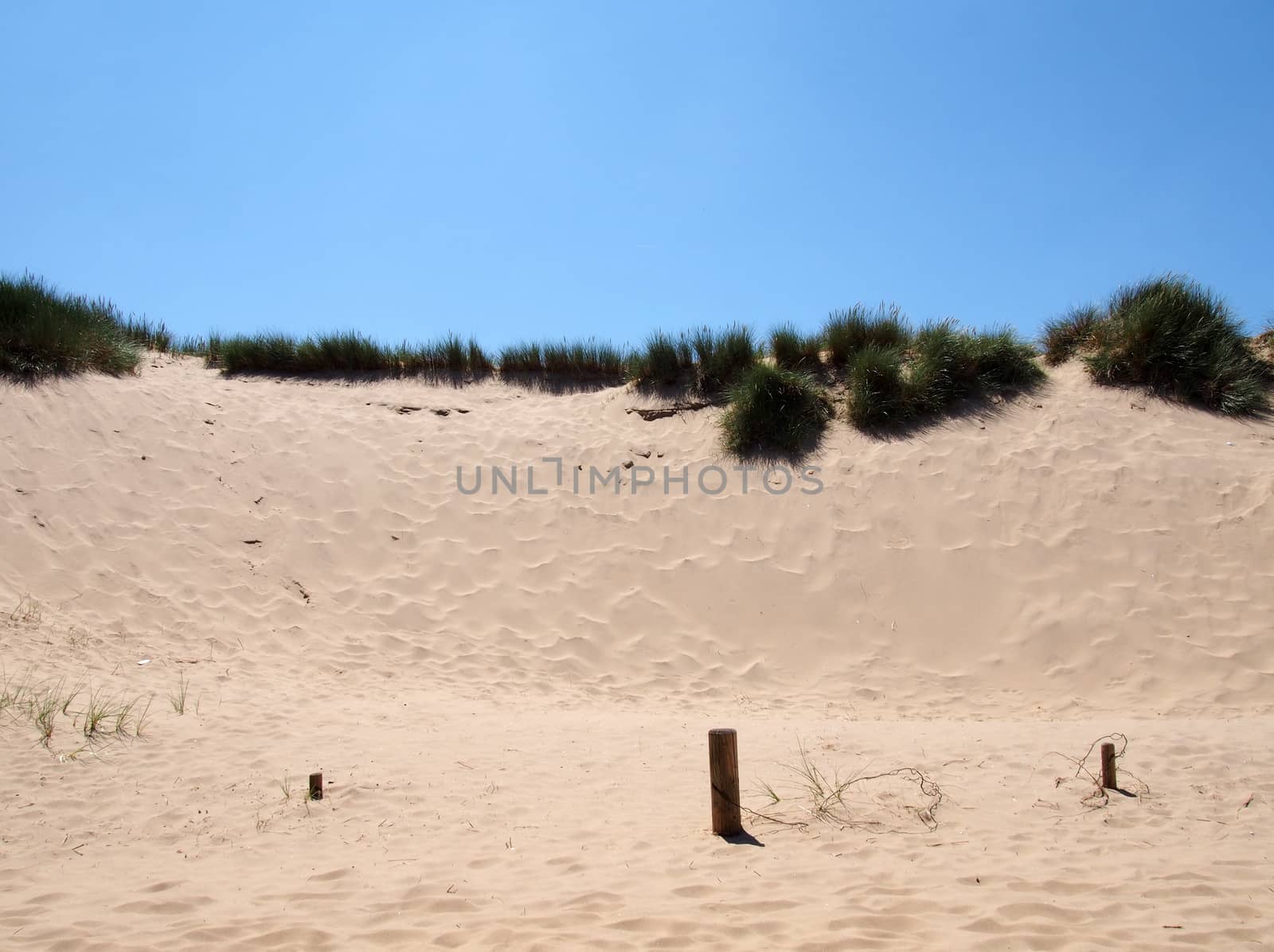 grass on the top of sand dunes near the beach on the sefton coast in merseyside with blue summer sky with the buried remains of a fence by philopenshaw