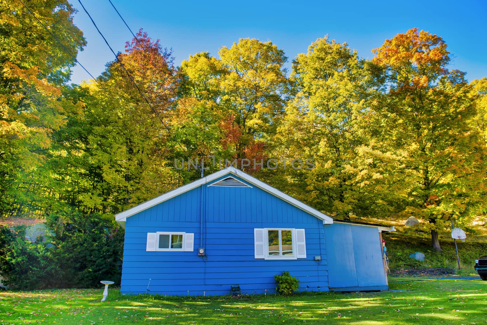 Beautiful blue wooden construction in the woods. Foliage season by jovannig