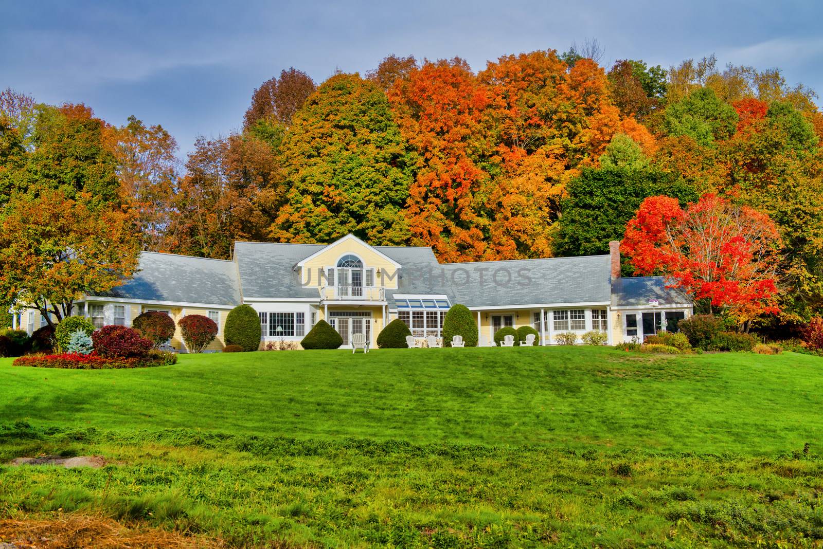 Amazing view of Foliage Landscape with tree colors and homes by jovannig