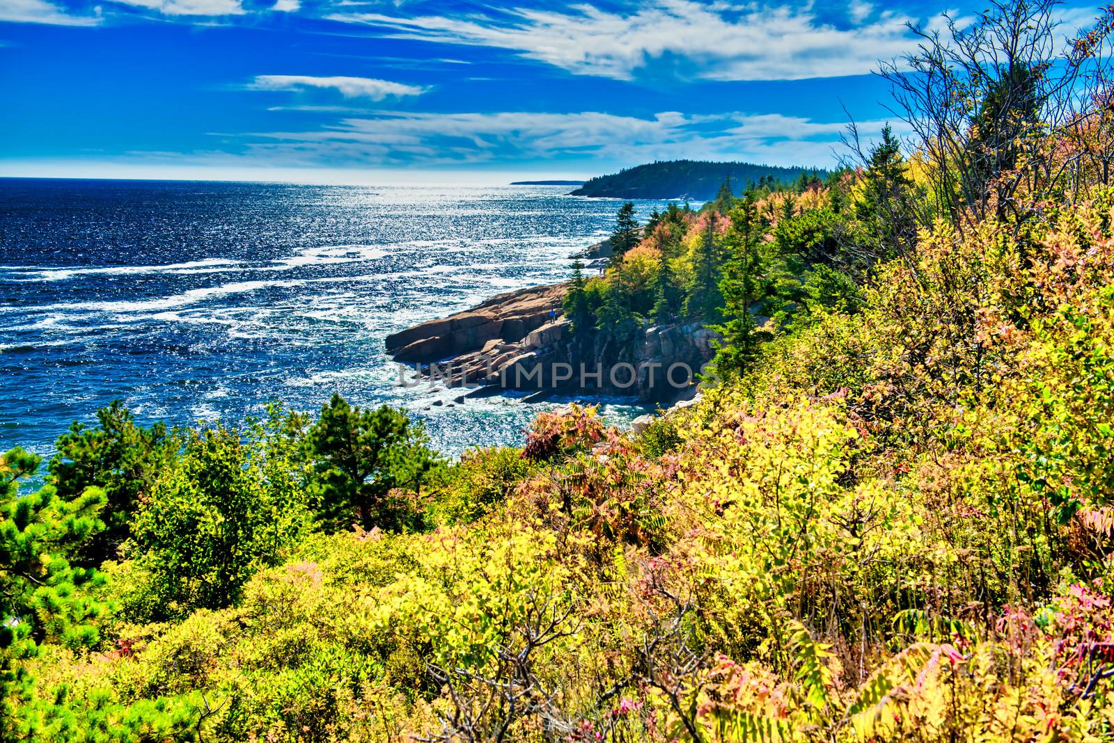 Acadia National Park, Maine. Coastline along the sea in foliage season, USA