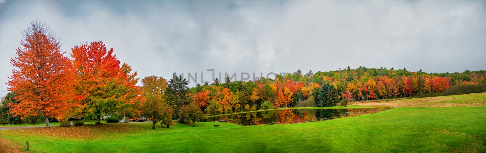 Panoramic view of beautiful Maine foliage landscape with trees a by jovannig