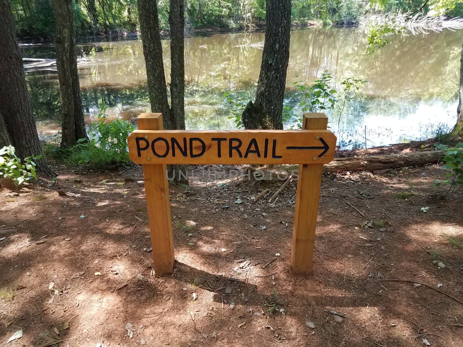 wooden pond trail sign with arrow and lake or pond water