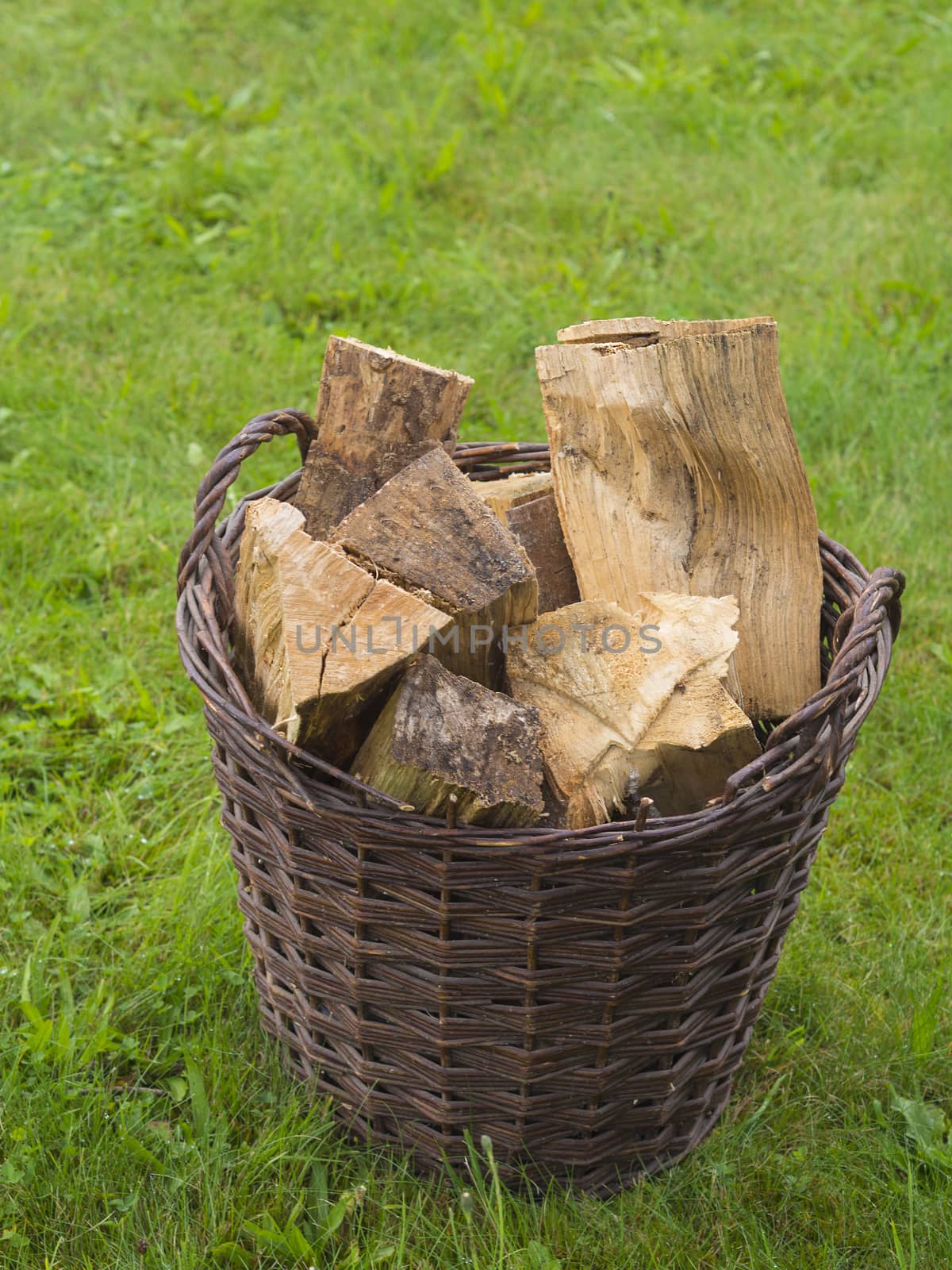 wicker basket full of chopped wood on green grass background