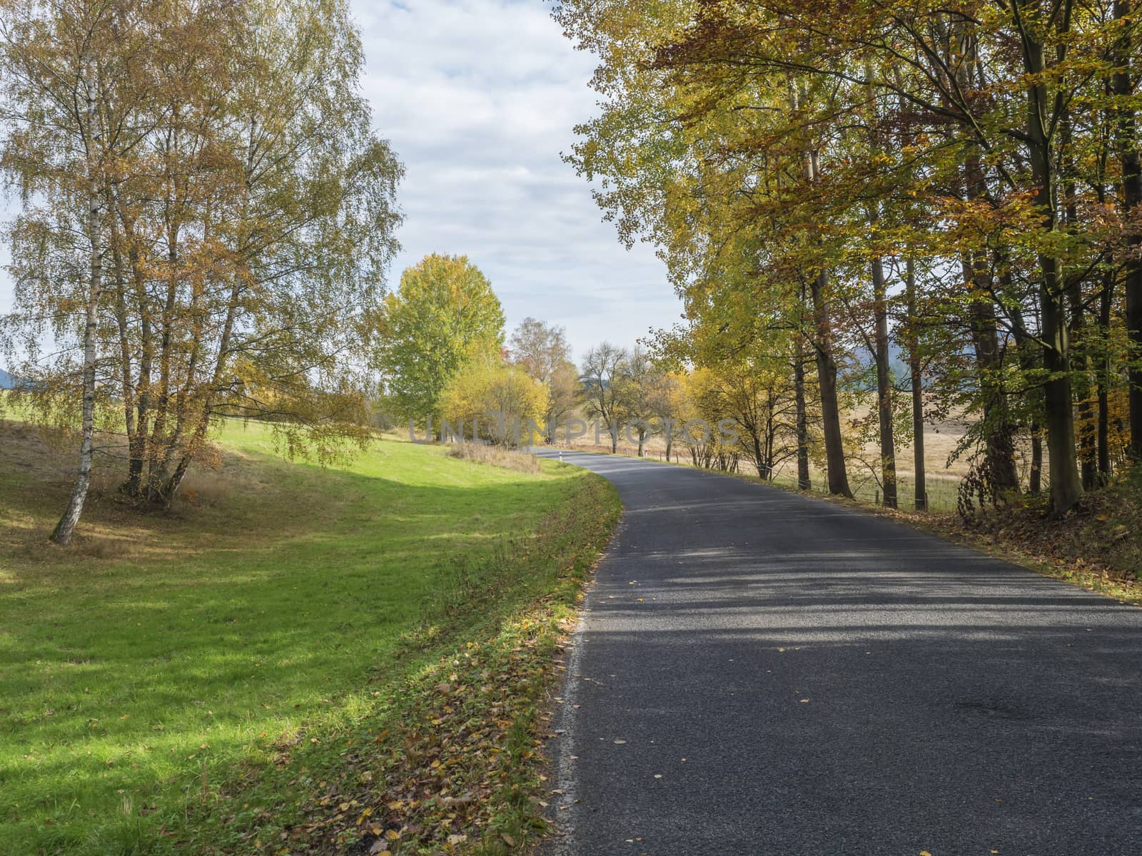 Asphalt road winding through colorful deciduous forest in the autumn with fallen leaves of oak and Maple and birch Trees, deminishing perspective, blue sky white clouds by Henkeova