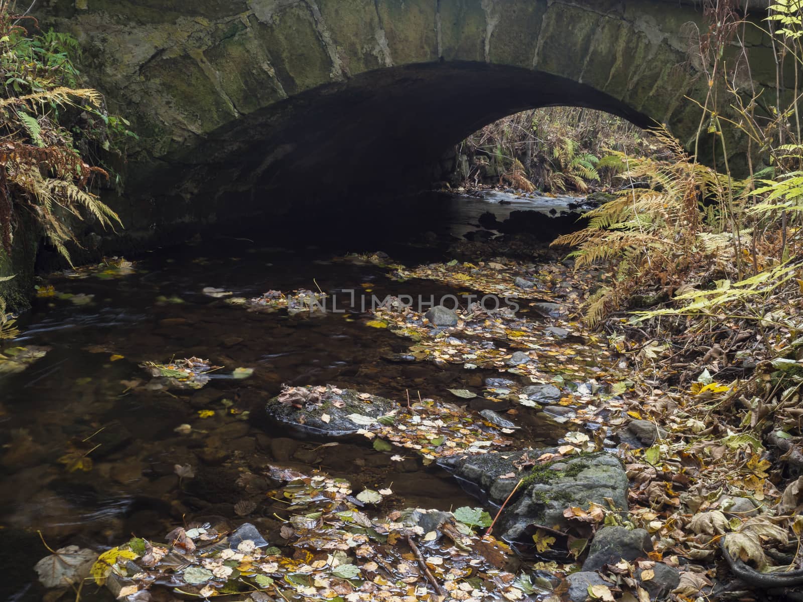 Long exposure magic forest stream cascade creek in autumn with stones, ferns, colorful fallen leaves and stone bridge arc in luzicke hory mountain in czech republic by Henkeova