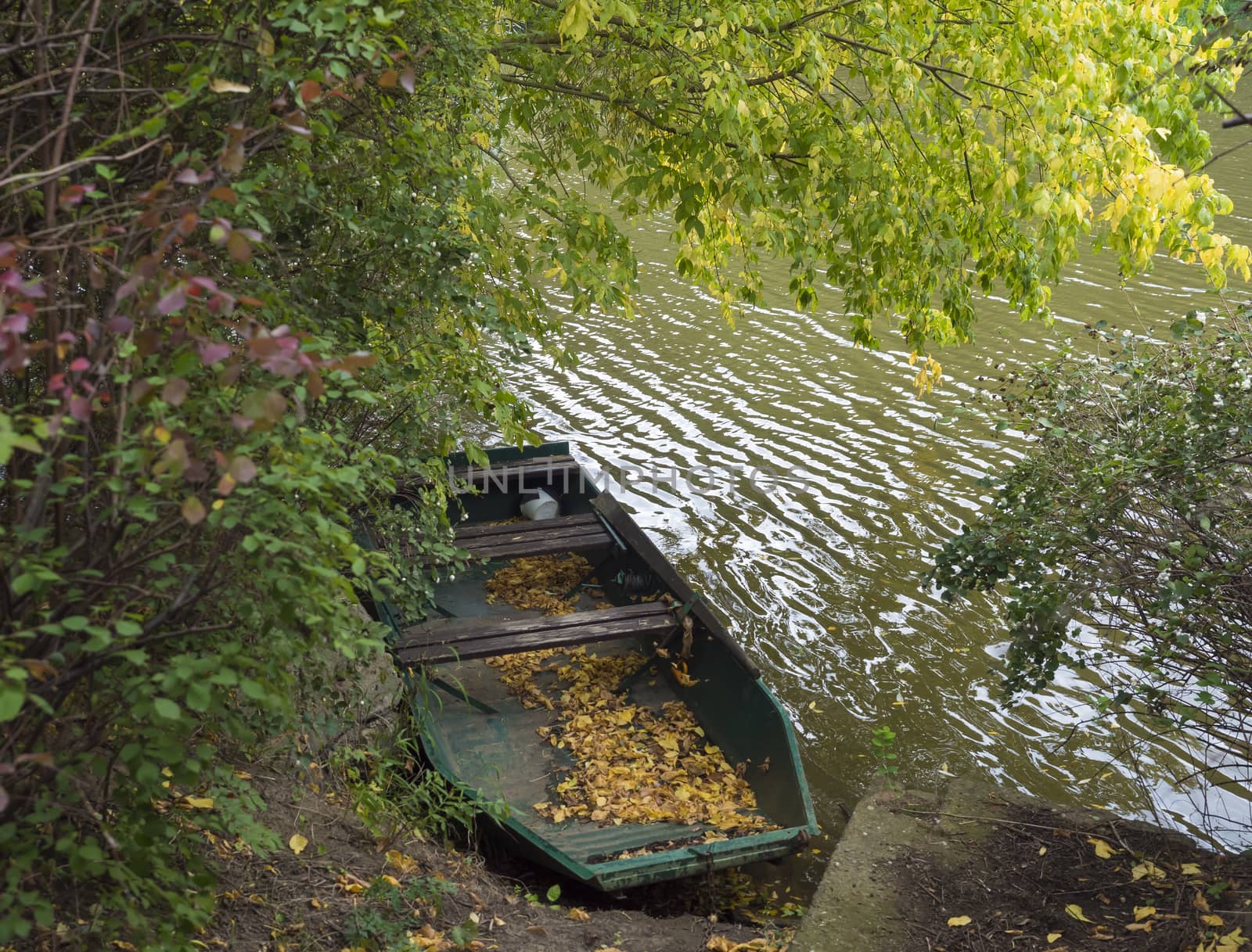Old rowing boat with fallen leaves on the river bank in autumn with trees, countryside in golden afternoon light.