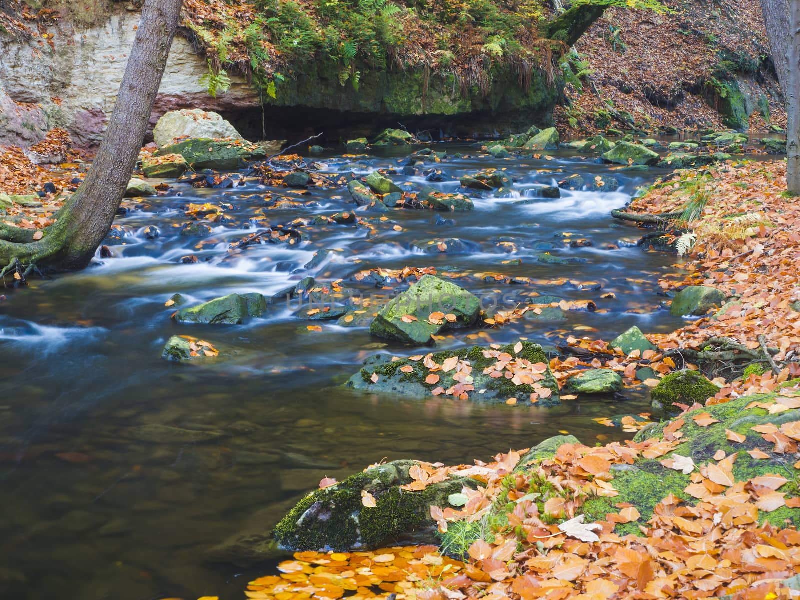 Long exposure magic forest stream creek in autumn with stones moss ferns and fallen leaves and trees in luzicke hory mountain in czech republic