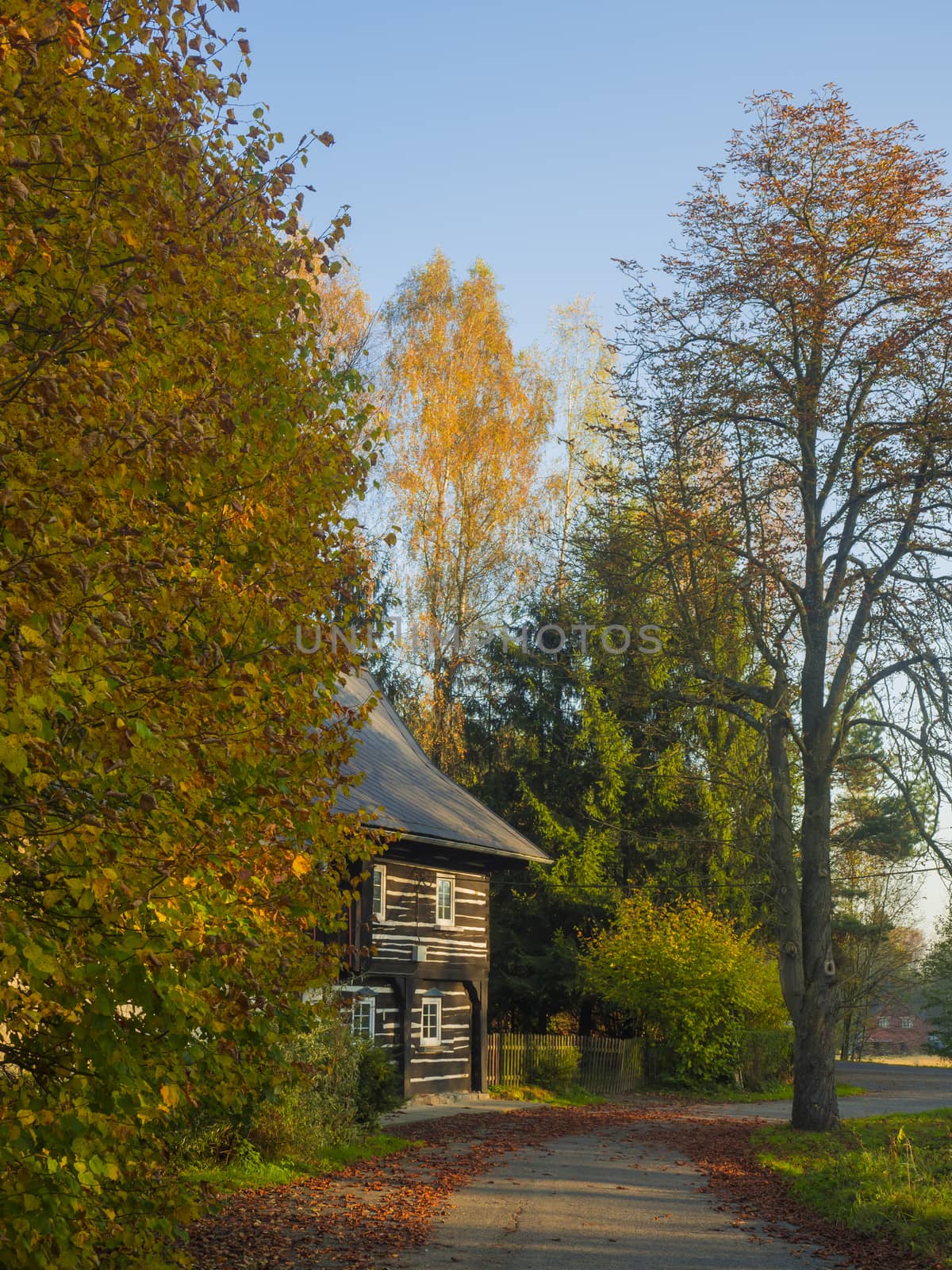 asphalt road with autumn trees to timbered wooden cottage in gol by Henkeova