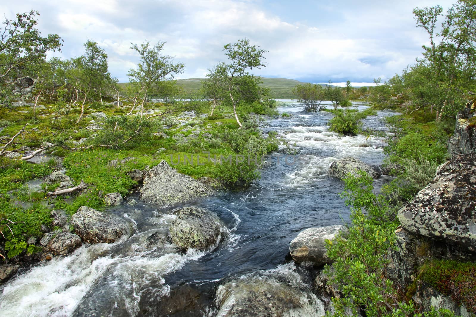 Small lake and running streamlet in Northern Lapland by anterovium