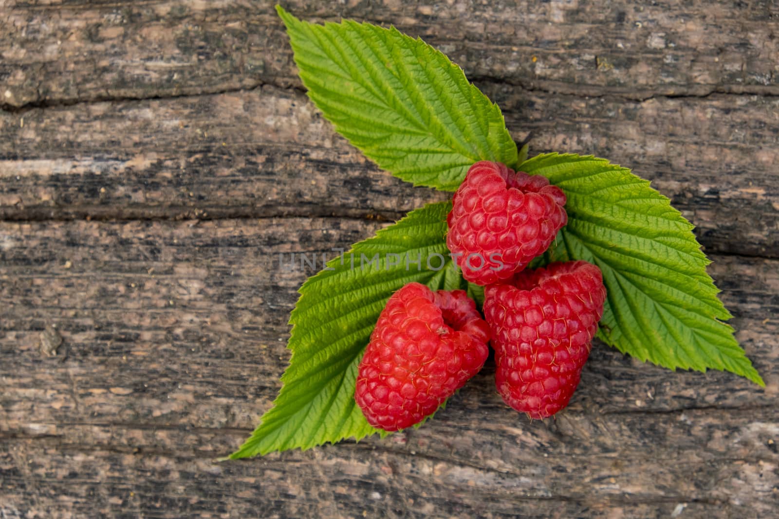 Ripe aromatic raspberries on a wooden background. Top view.