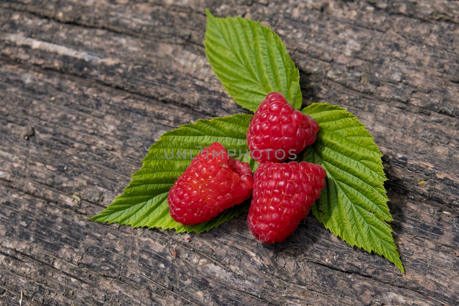 Ripe aromatic raspberries on a wooden background.