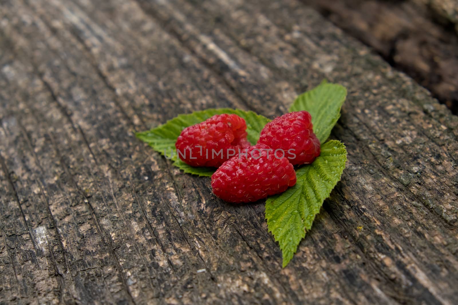 Ripe aromatic raspberries on a wooden background. Soft focus.
