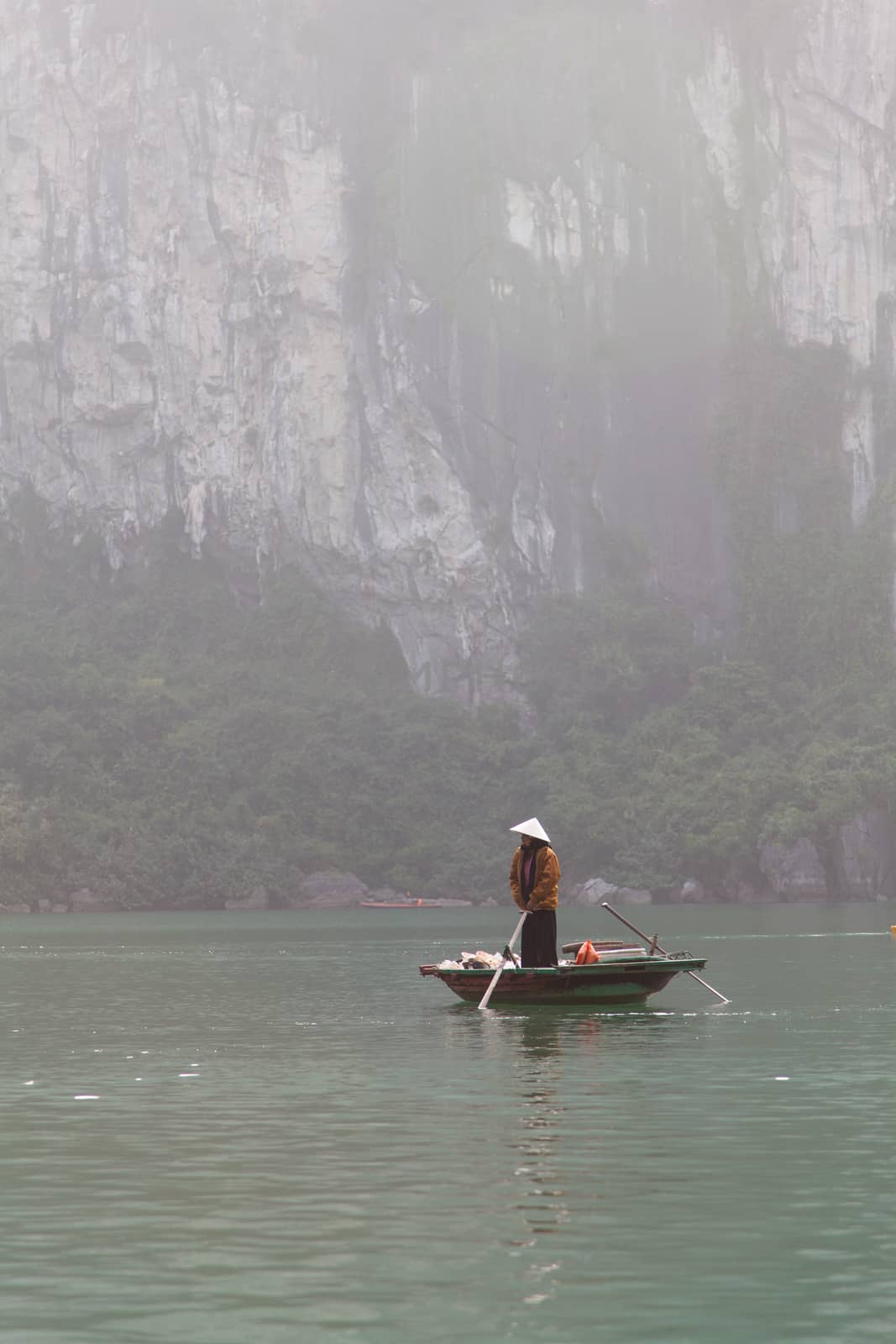 Ha Long Bay, Vietnam, is a World Heritage Site and very popular with tourists. Thousands of towering limestone islands topped by rainforests rising up out of the emerald seas. Cruise ships take tourists for day trips and overnight stays in the bay. Traditional local fishing, . High quality photo