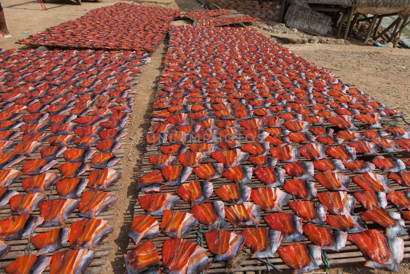 Fish drying in the sun at Phsar Prohok, The Fish Paste Market, Battambang where fish-paste is made, a staple condiment in Cambodia and Vietnam. The fish is gutted and cleaned and laid out in patterns of red and silver. High quality photo