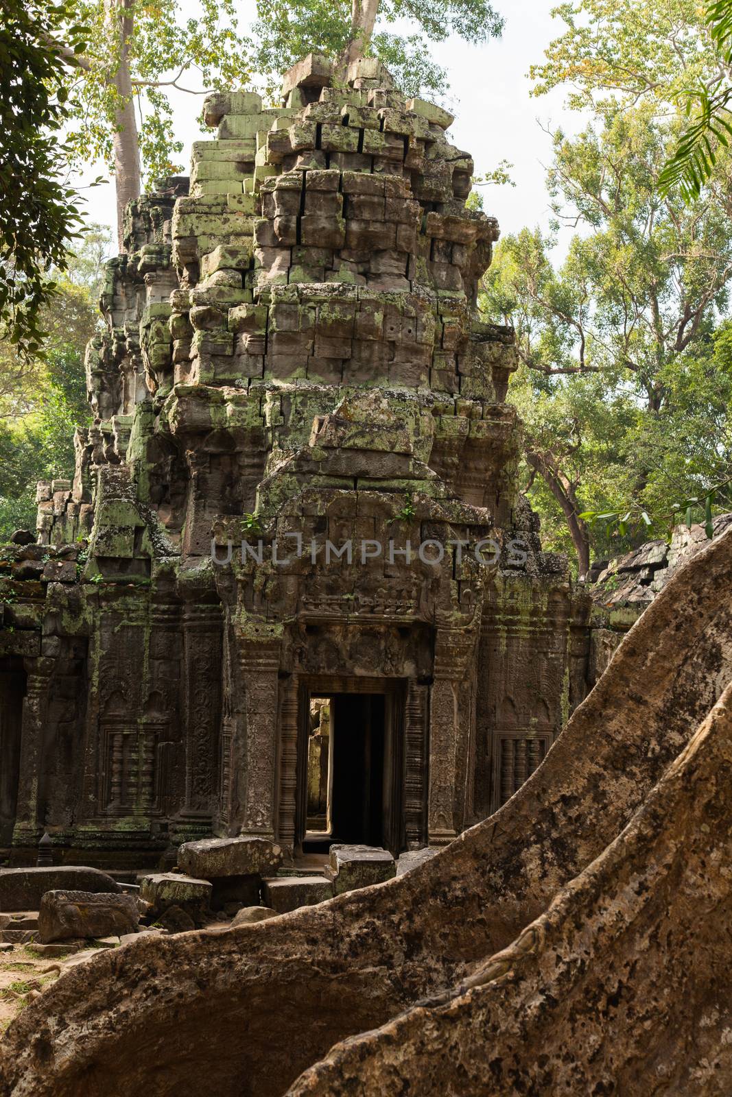 The jungle and trees had engulfed the temple complex of Angkor Watt, Cambodia, with the famous temples of Angkor, Ta Prohm and Bayon. revealed in the 18th century again . The temples numbering more than a thousand are part of the largest religious site anywhere. The tree roots are iconic of the temples and popularised Ta Prohm in the film Tomb Raider. 