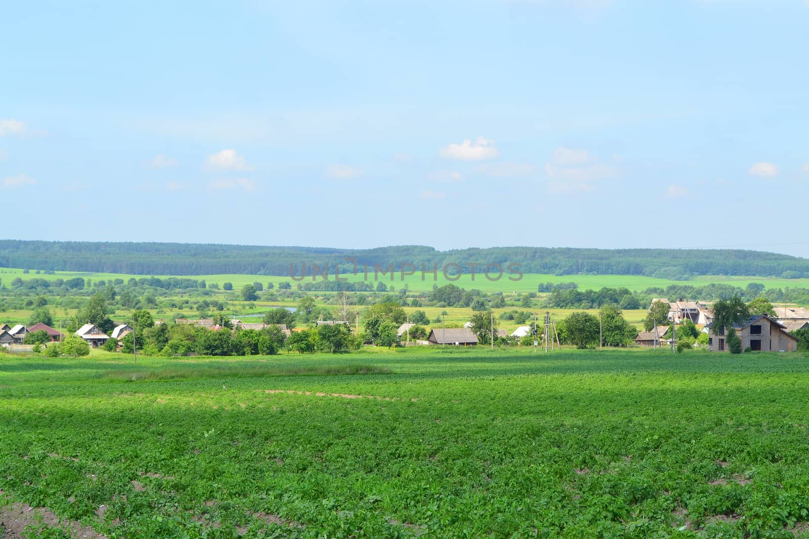 Beautiful summer landscape in a village in Belarus. A beautiful summer day in the countryside. Village Talkovshina, Grodno region