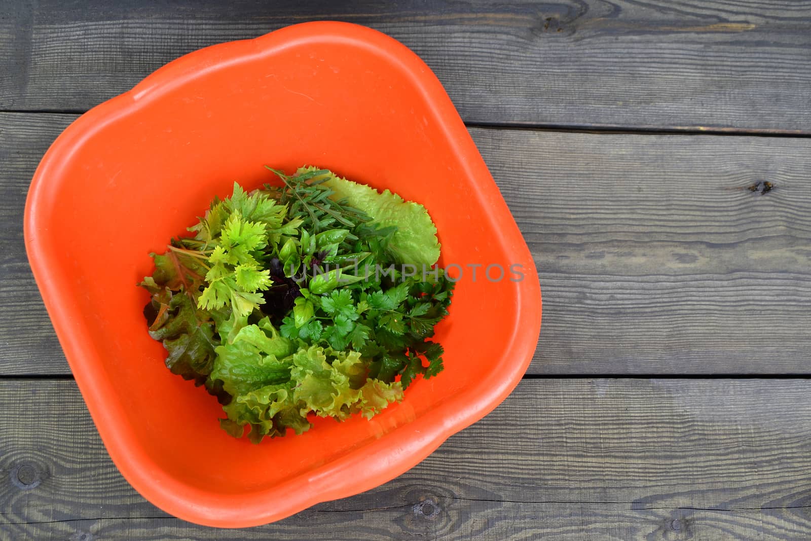 Small spice herb in red bowl on garden rustic wooden table flat lay