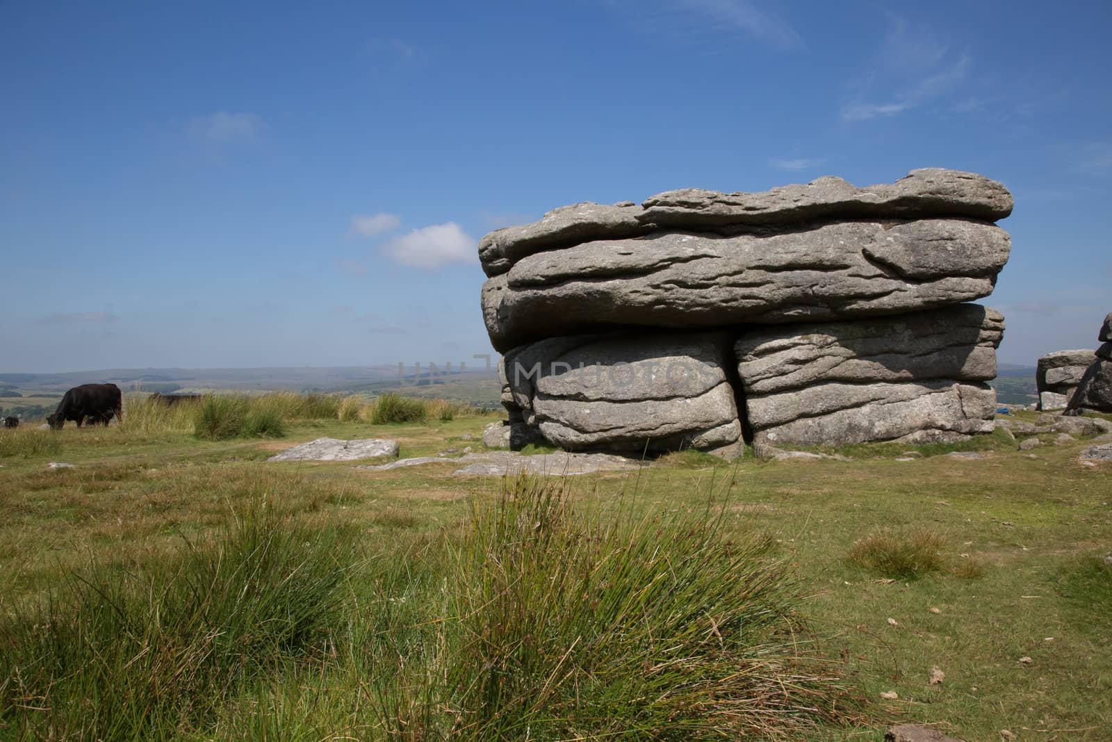 Dartmoor National Park Devon UK. Traditional rural and moor landscape with trees by kgboxford