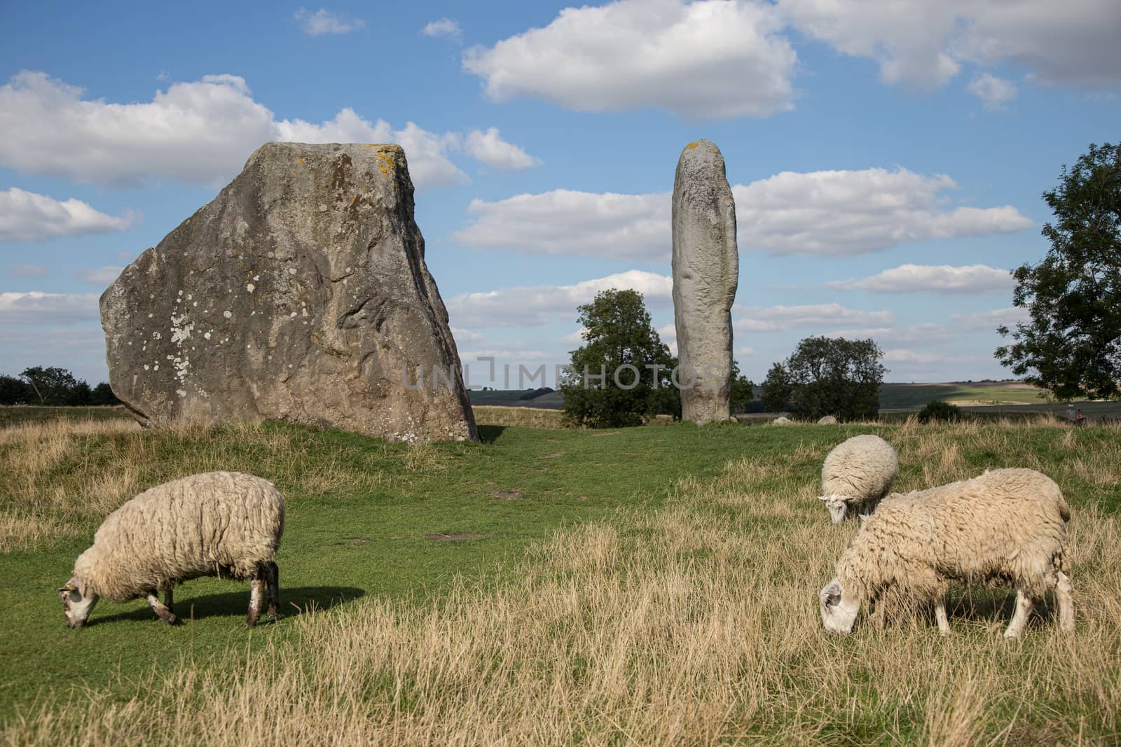 The Cove stones set against beautiful English countryside and blue skies with clouds. with sheep in foreground