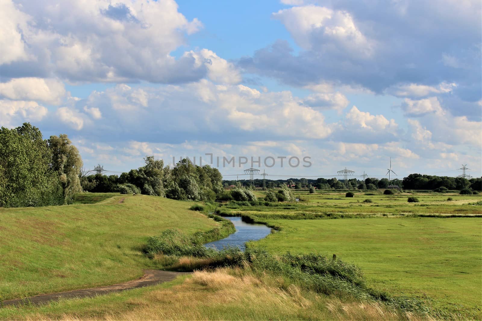 Marsh landscape with pastures and ditches in northern germany