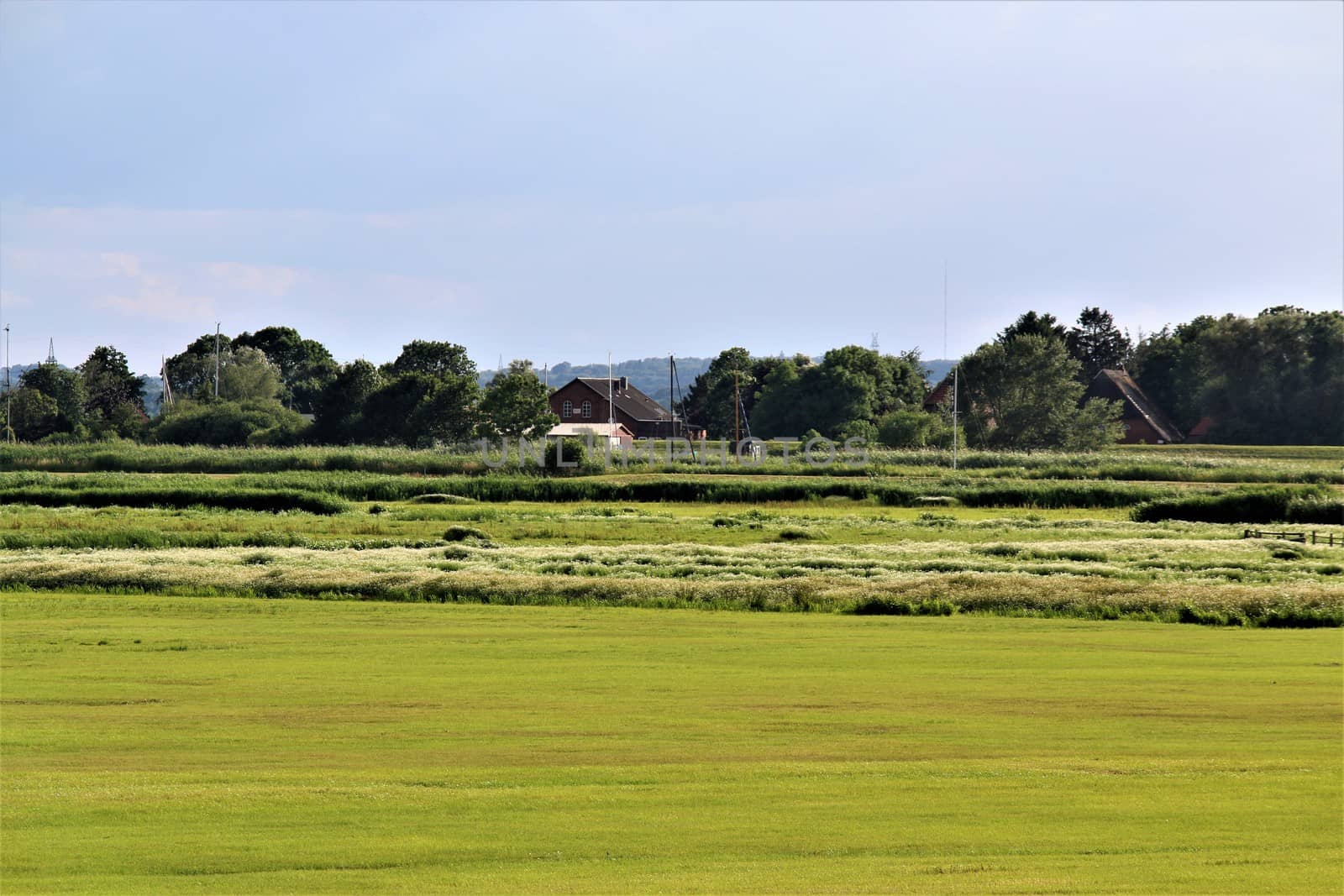 Marsh landscape with pastures in northern germany