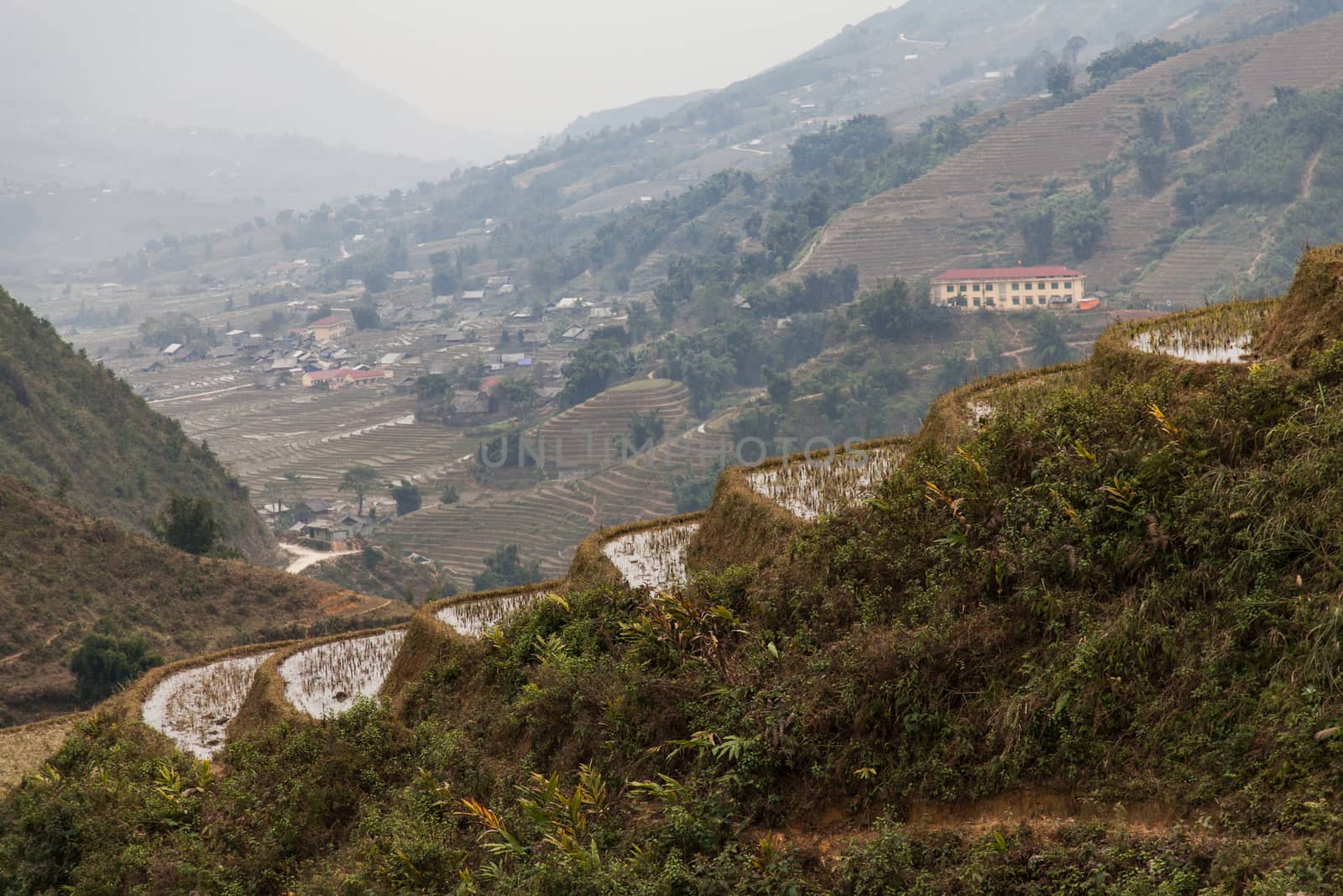 Terraced fields in Sapa, northern Vietnam with houses behind in distance by kgboxford