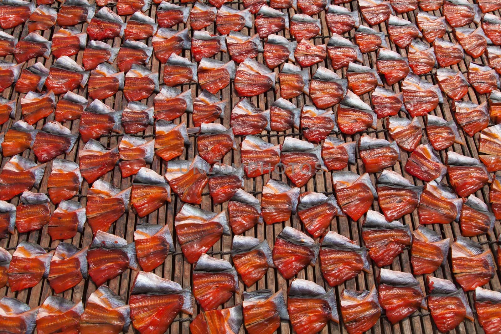 Fish drying at Phsar Prohok Fish Paste Market Cambodia where fish-paste is made  by kgboxford