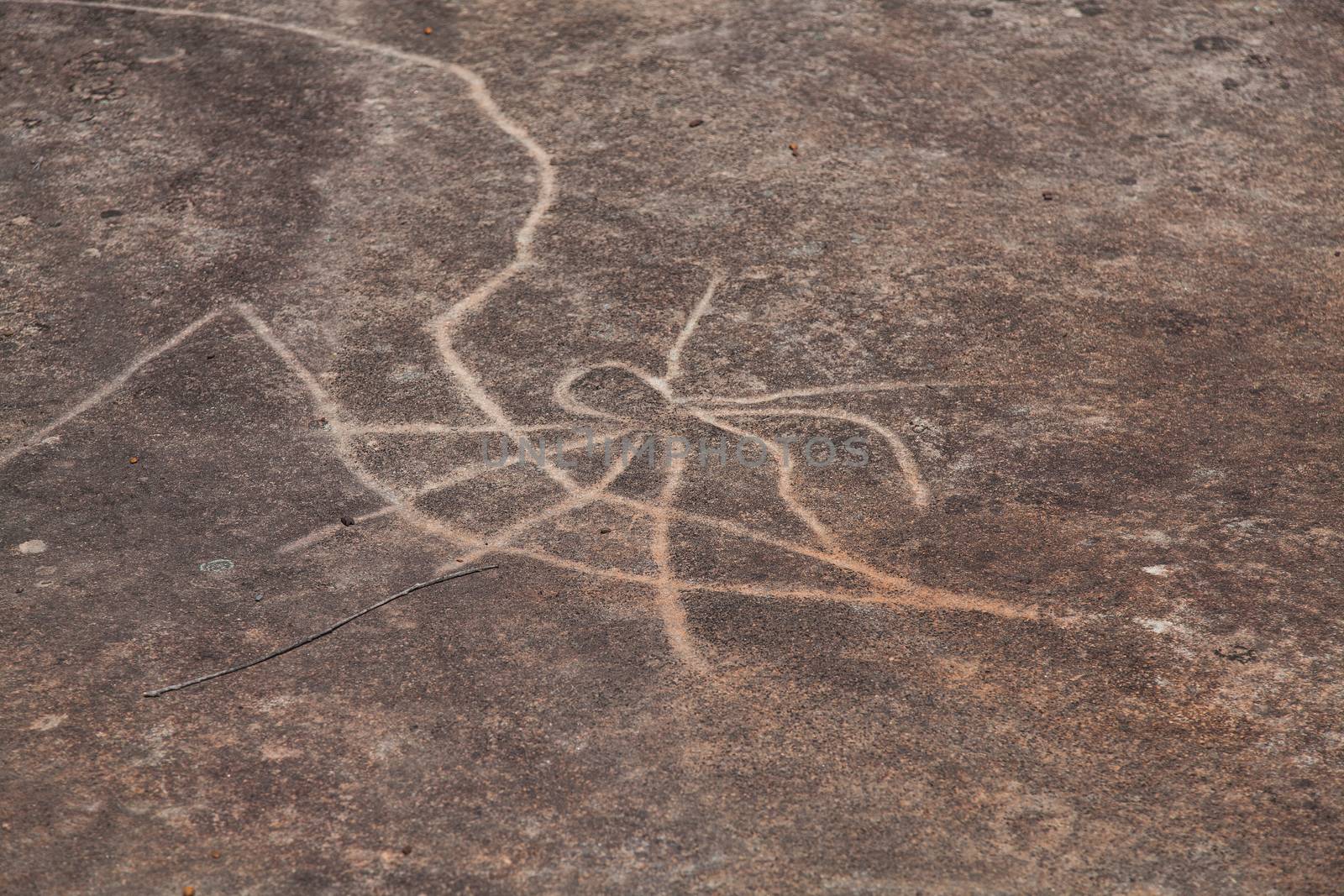 Dharawal etchings or petroglyphs, Bundeena NSW Australia by kgboxford