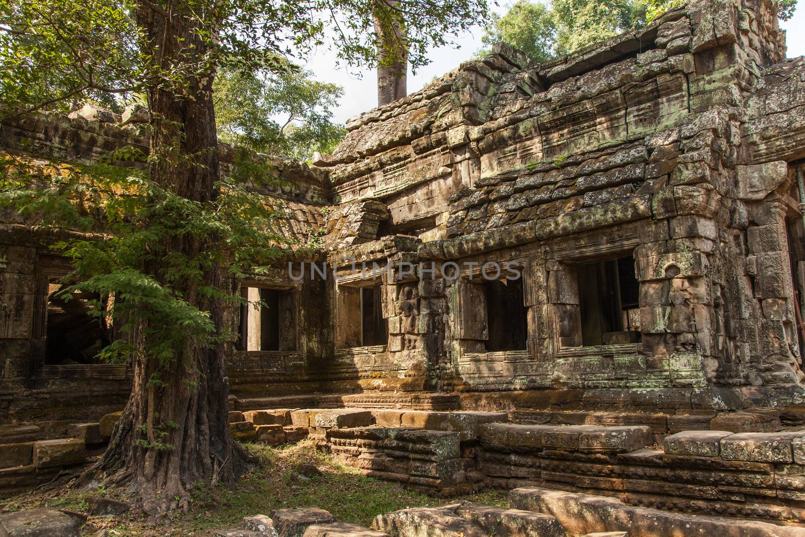 Ta Prohm, Angkor Wat, Cambodia, trees engulfing the temple structures with roots by kgboxford