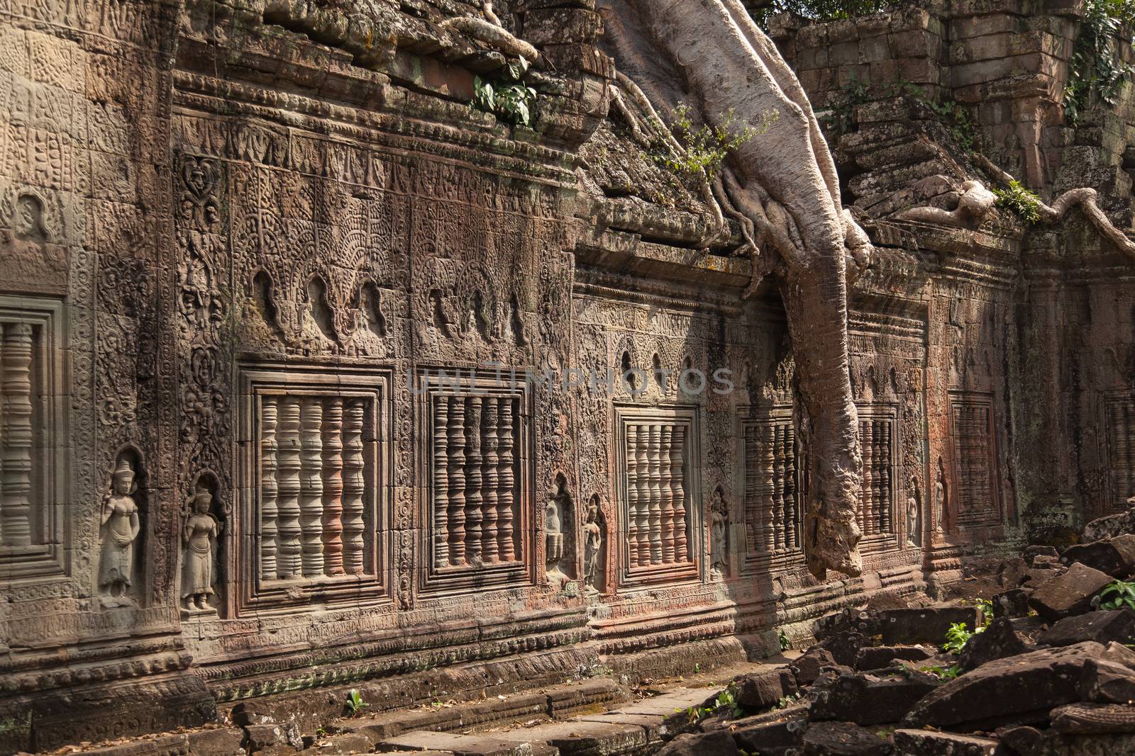 Ta Prohm, Angkor Wat, Cambodia, trees engulfing the temple structures with roots by kgboxford