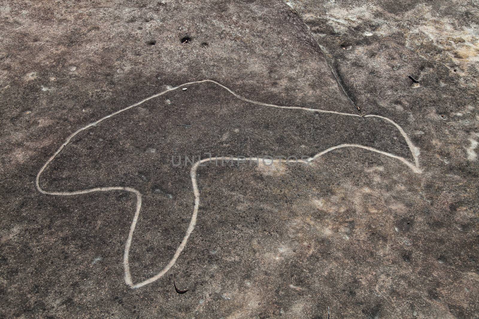 Dharawal etchings or petroglyphs, Bundeena NSW Australia. A rock etching of a bird, ancient Aboriginal rock platform carvings