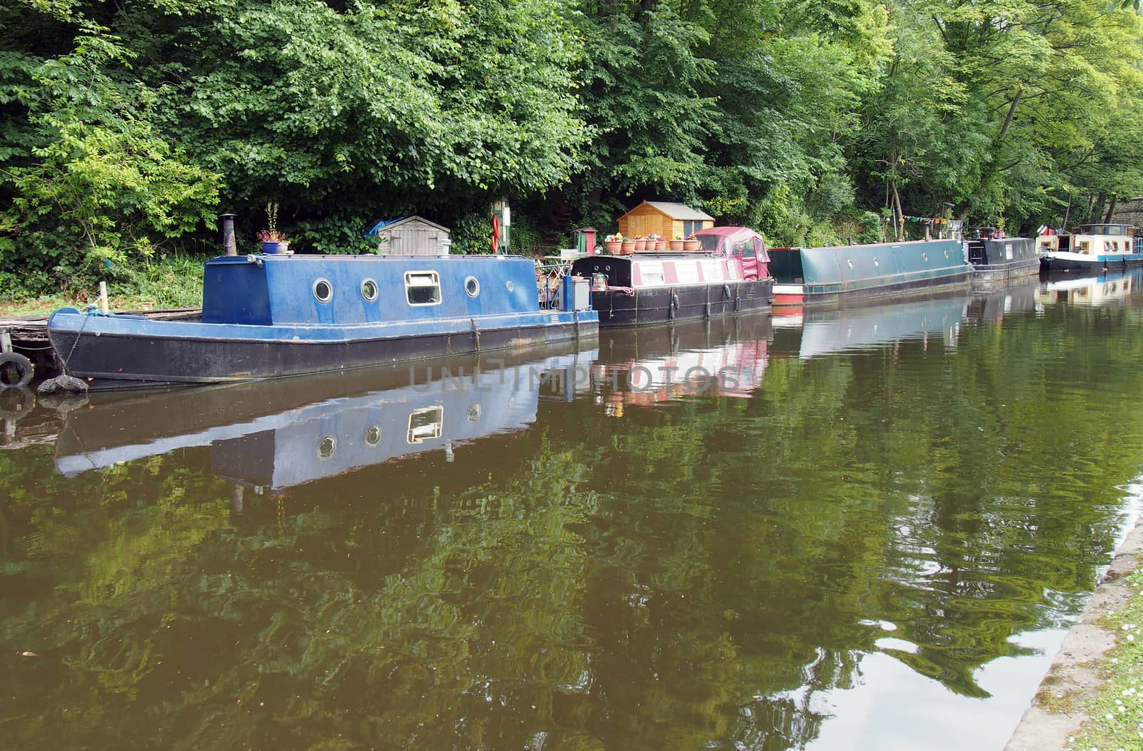 narrow boats and barges moored on the rochdale canal in hebden bridge surrounded by green summer trees by philopenshaw