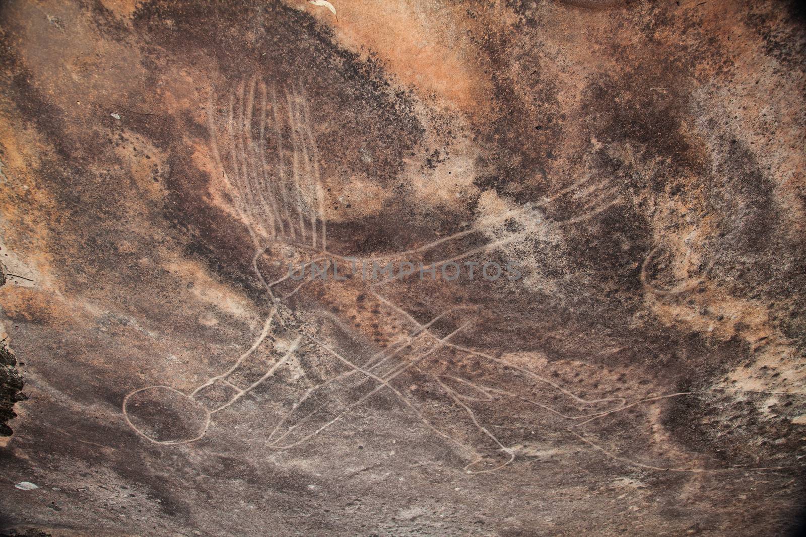 Dharawal etchings or petroglyphs, Bundeena NSW Australia. A rock etching of a man or god, ancient Aboriginal rock platform carvings High quality photo