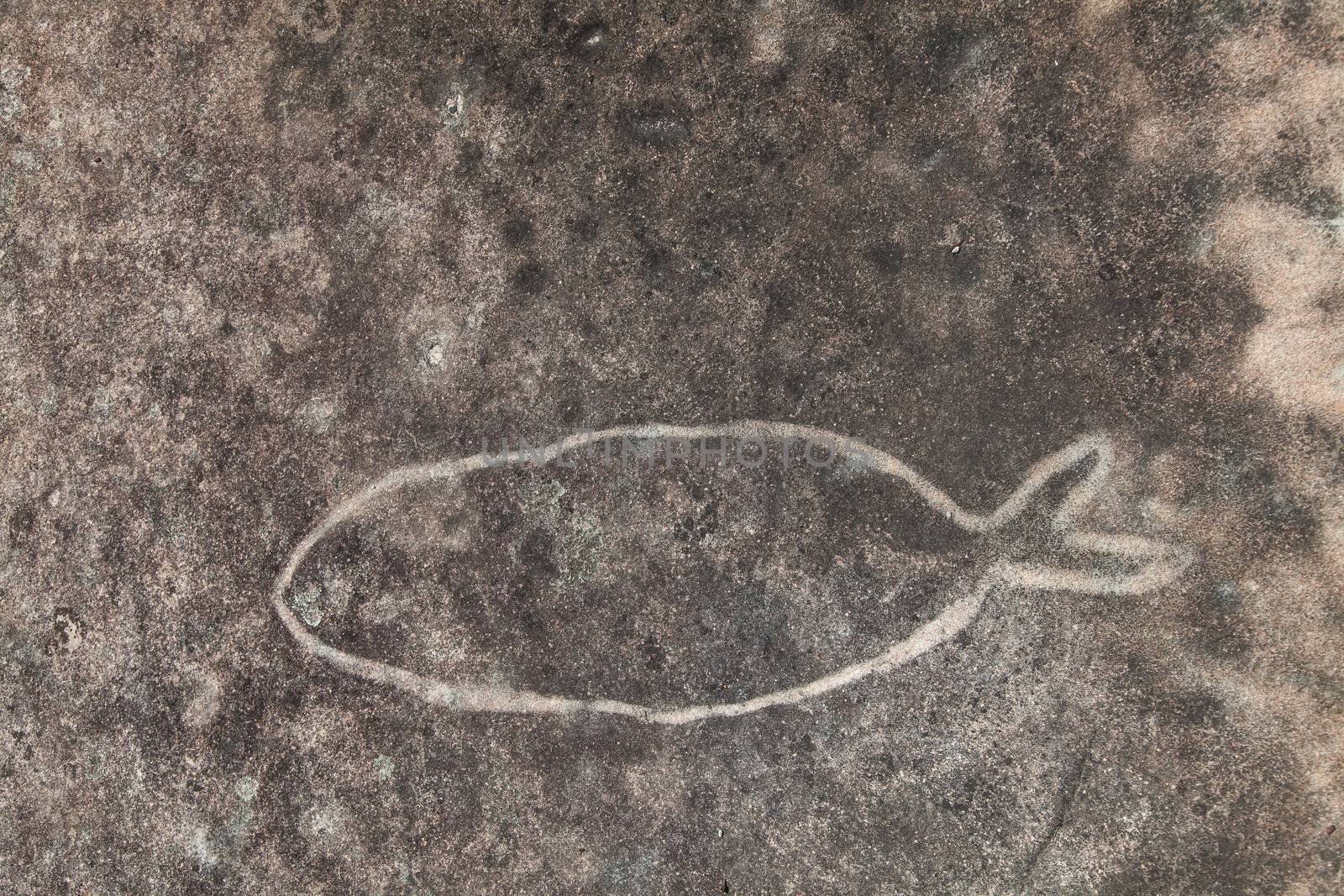 Dharawal etchings or petroglyphs, Bundeena NSW Australia. A rock etching of a fish, ancient Aboriginal rock platform carvings