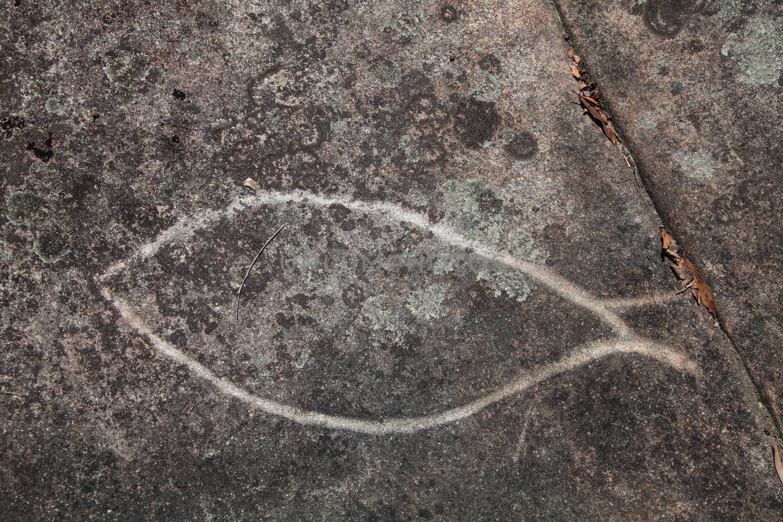 Dharawal etchings or petroglyphs, Bundeena NSW Australia by kgboxford