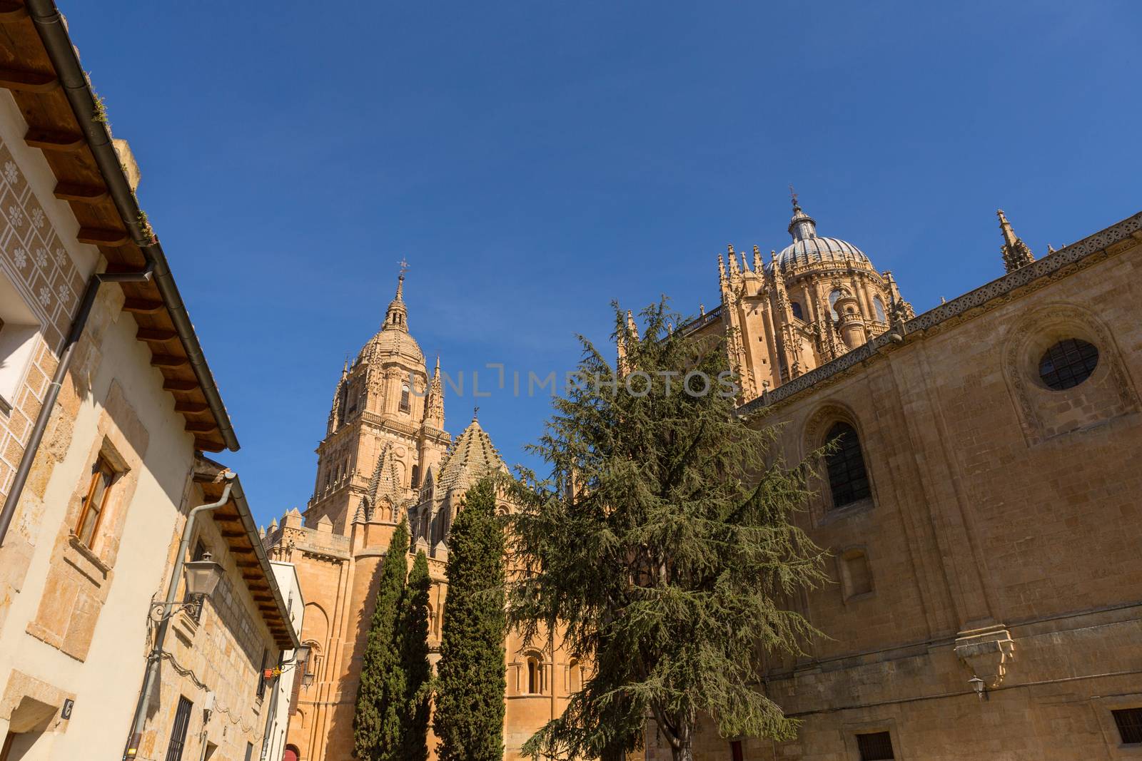 View of the historical Salamanca Cathedral, Spain