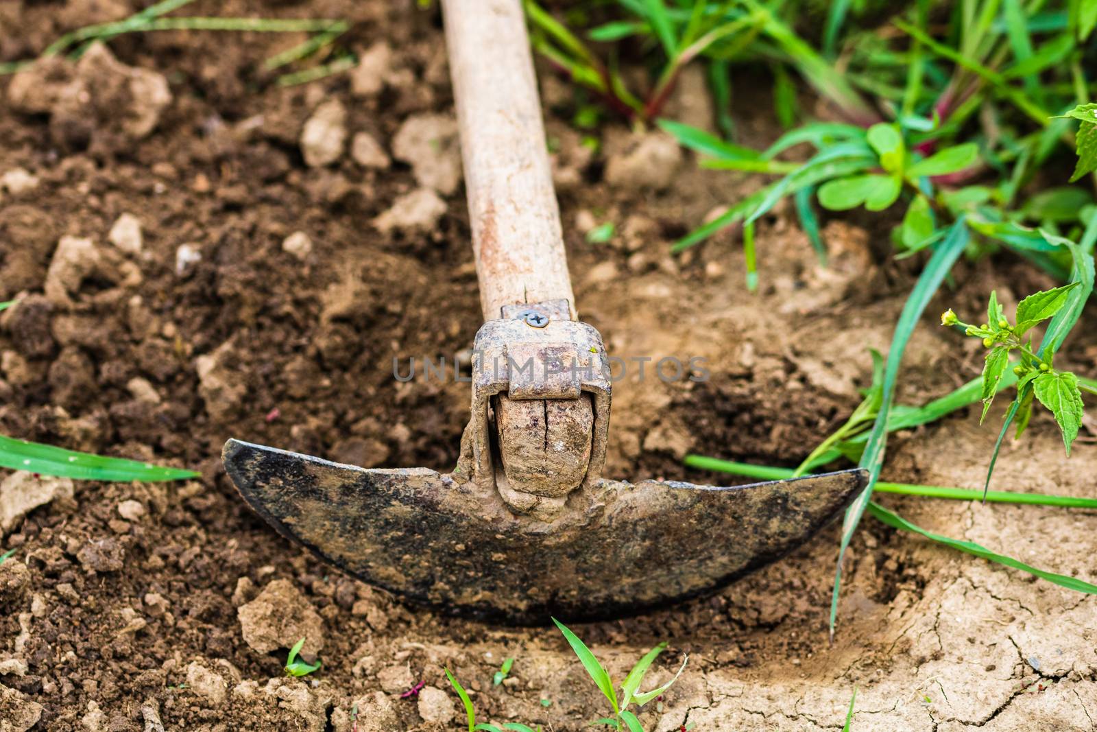 Close up of hoe tool for digging isolated in garden on the groun by vladispas