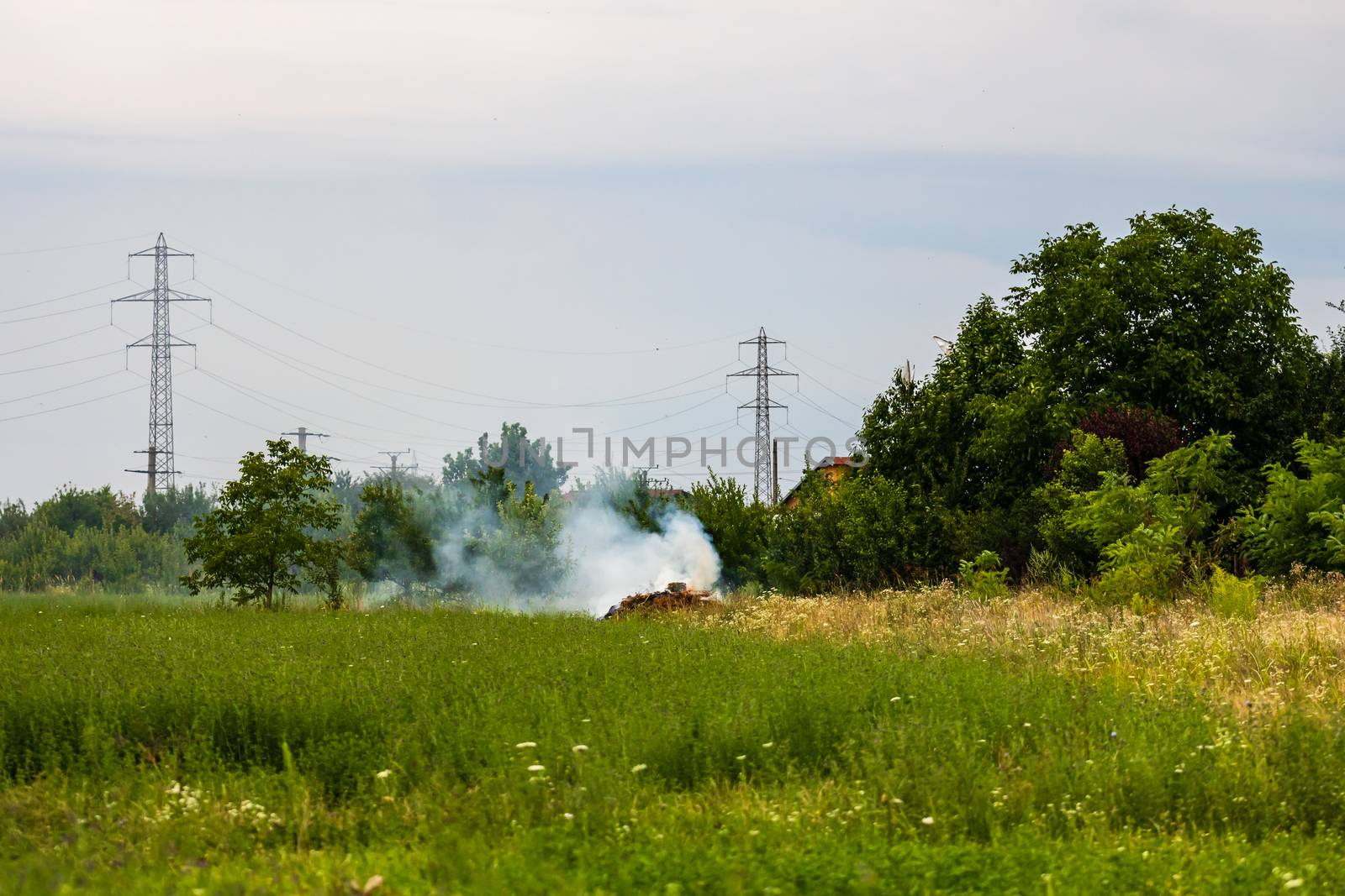 Fire and smoke in the agricultural field. by vladispas