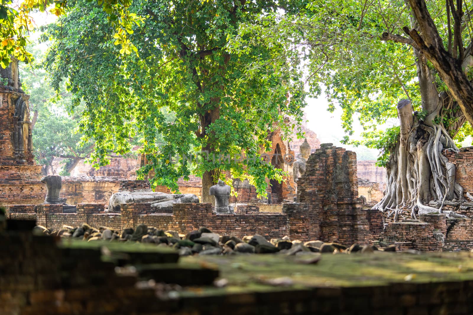 Architecture of the Famous Old Temple in Ayutthaya, Temple in Phra Nakhon Si Ayutthaya Historical Park, Ayutthaya Province, Thailand