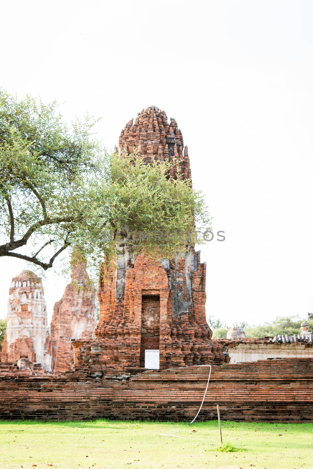 Architecture of the Famous Old Temple in Ayutthaya, Temple in Ph by ToonPhotoClub