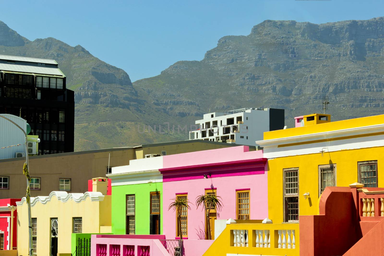 Bo-Kaap district with the Table Mountain National Park Panorama. by Arkadij