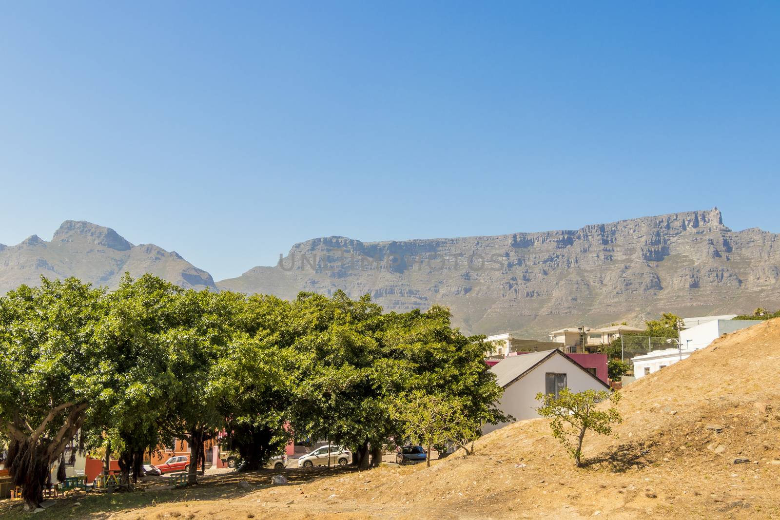 Bo-Kaap district with the Table Mountain National Park Panorama behind.