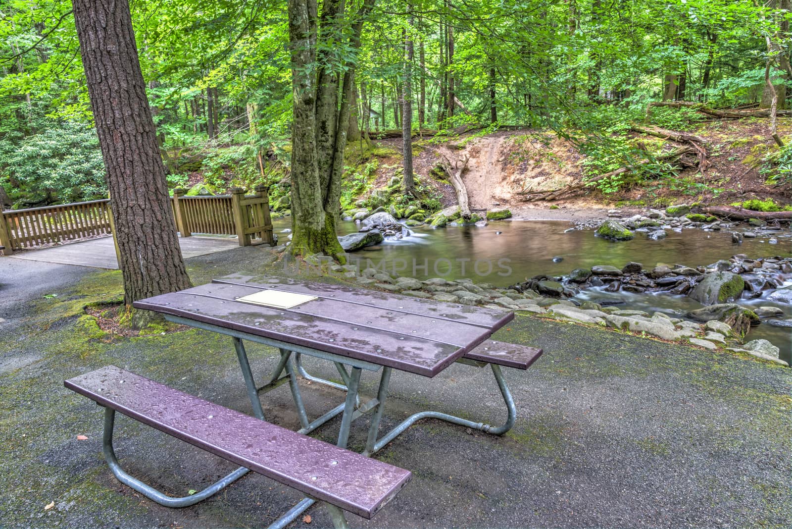 Horizontal shot of a Smoky Mountain Picnic Table in Early Morning Light.