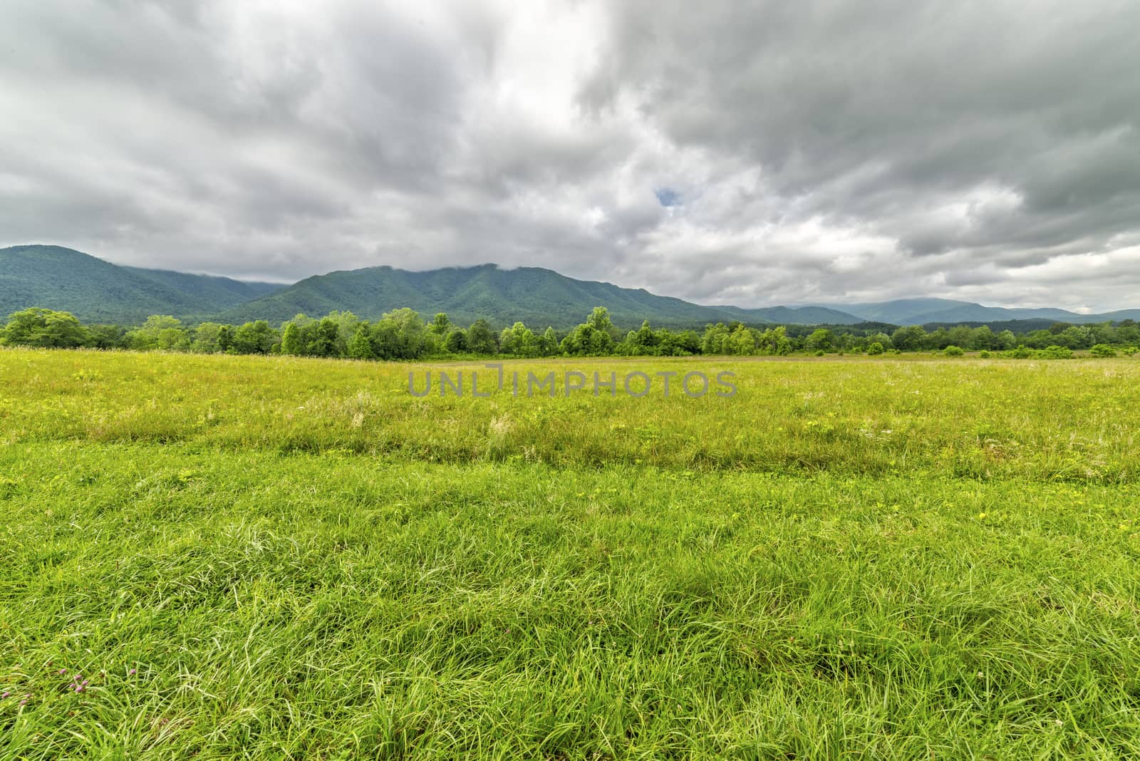 Horizontal shot of a beautiful Smoky Mountains field that would make a wonderful background.