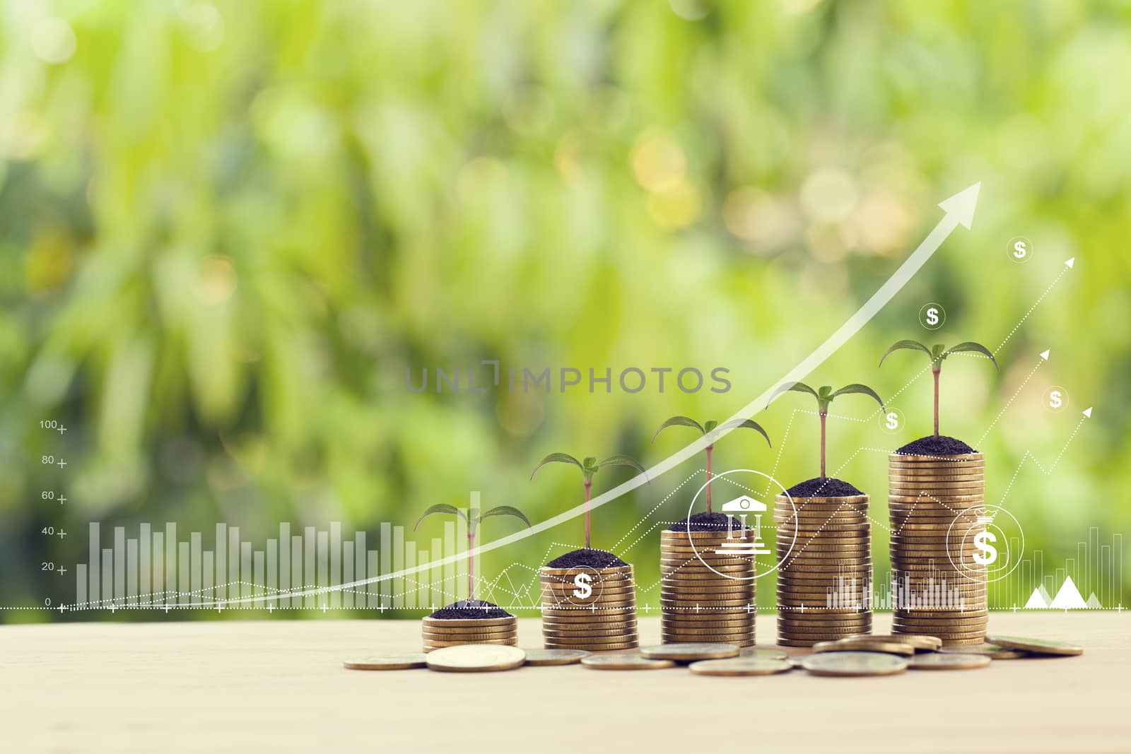 Finance and business concept: Double exposure with business charts of graph and green sprout on arranging rows of increasing coins. Stock investment for dividend and capital gain in a long-term growth