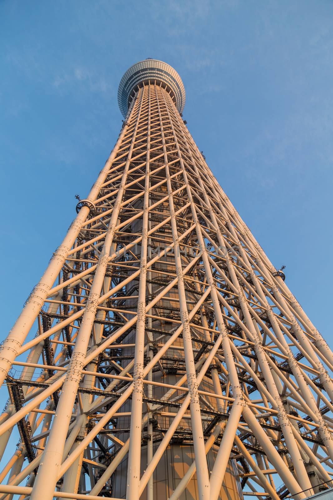 Tokyo, Japan: View of Tokyo Sky Tree, the highest free-standing structure in Japan.