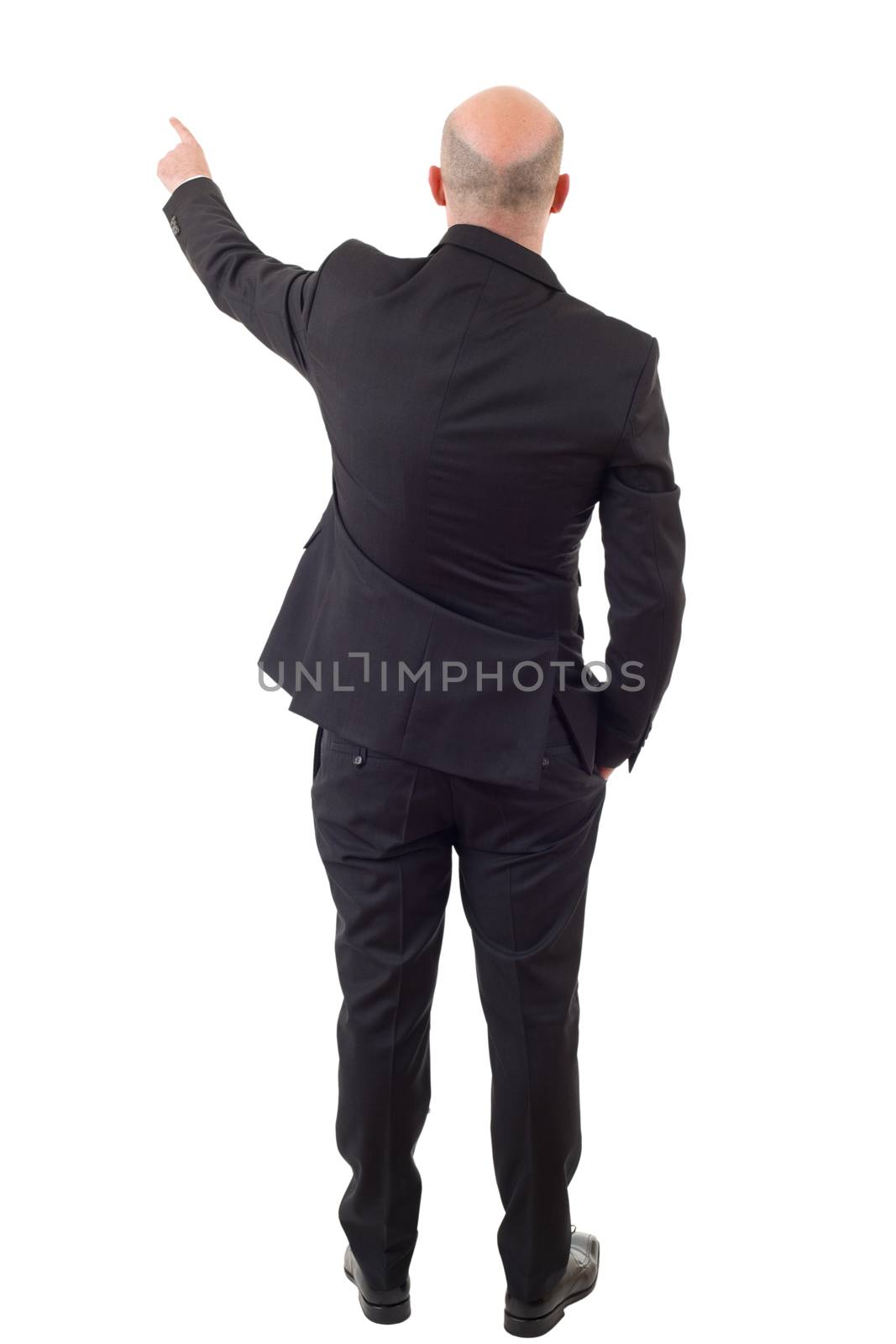 Back view of a business man pointing finger, isolated